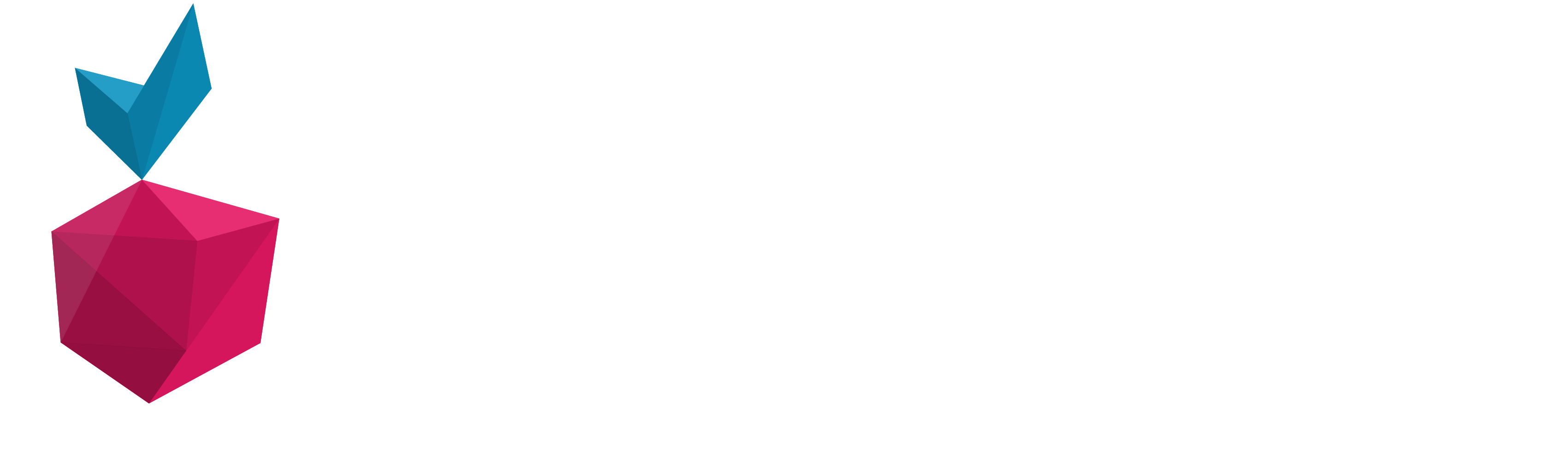 Web3 Pi